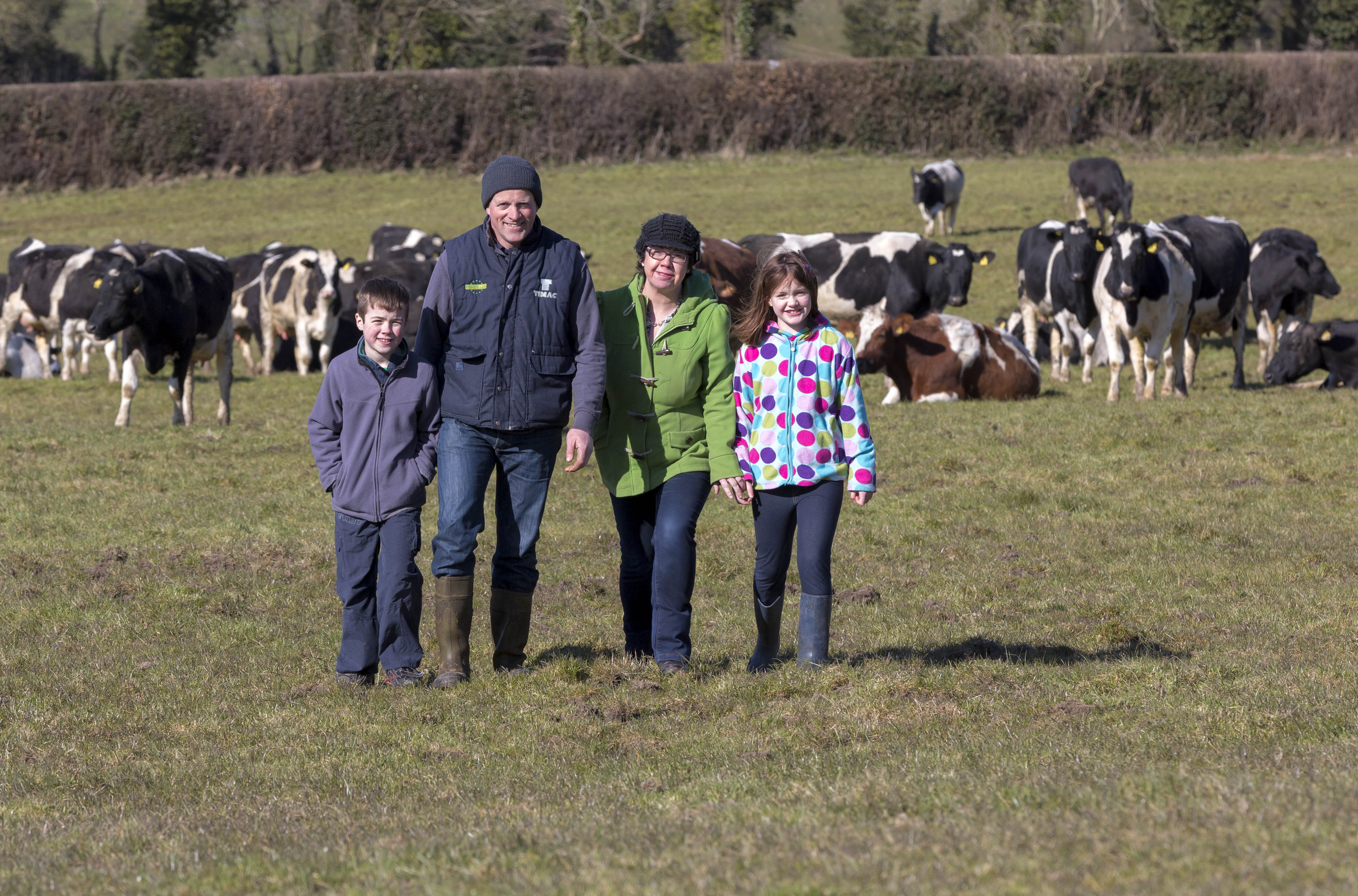 Dairy Farming In Ireland