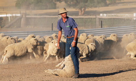 Australian-sheep-farmer-001