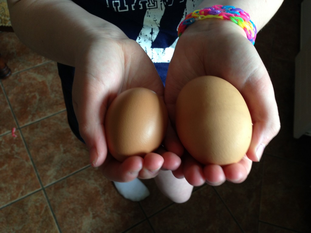 Big Egg, Small Egg