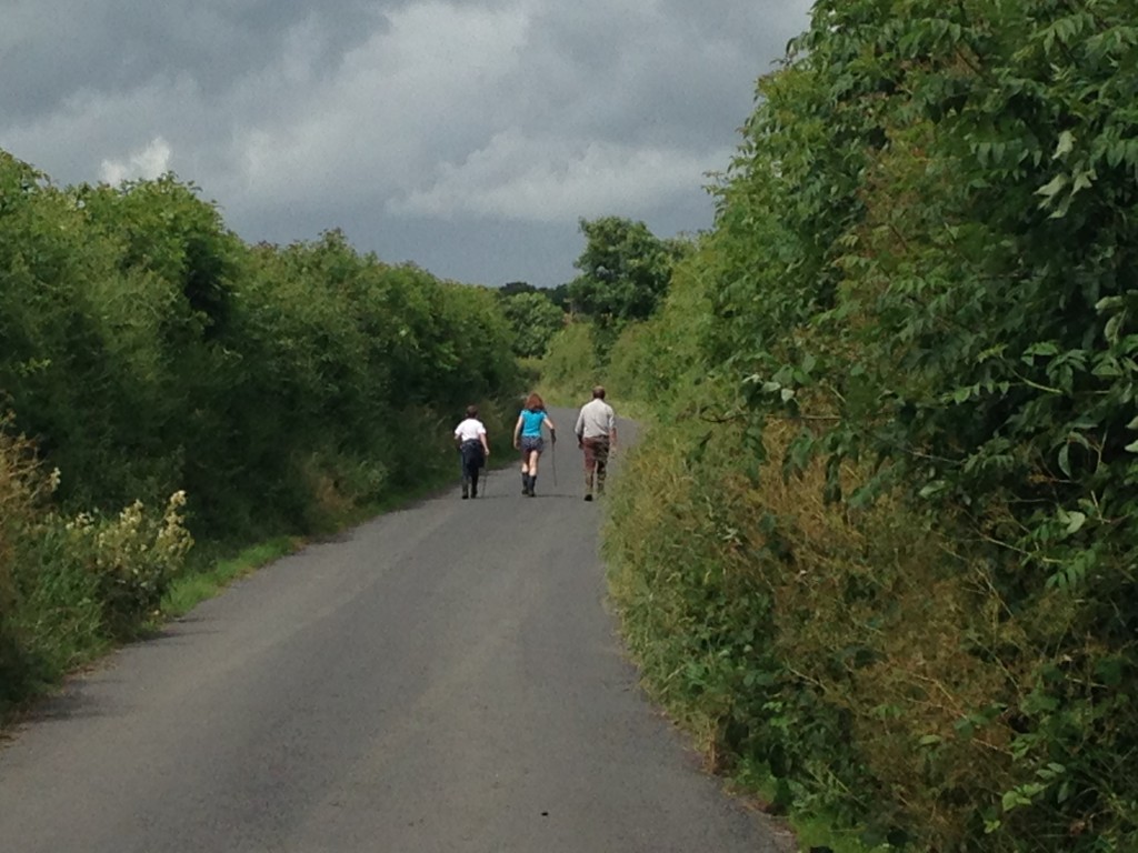 An Irish country road - Co. Laois