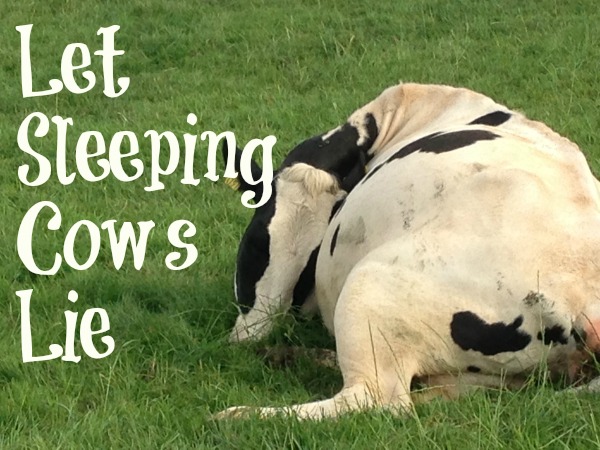 let sleeping cows lie
