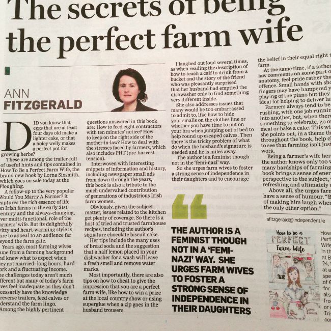 Review of Perfect Farm Wife in Irish Independent