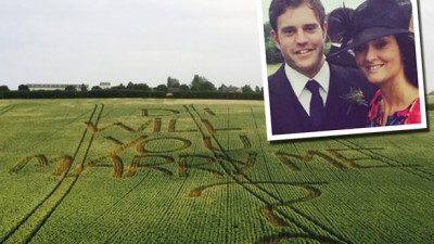marriage proposal in wheat