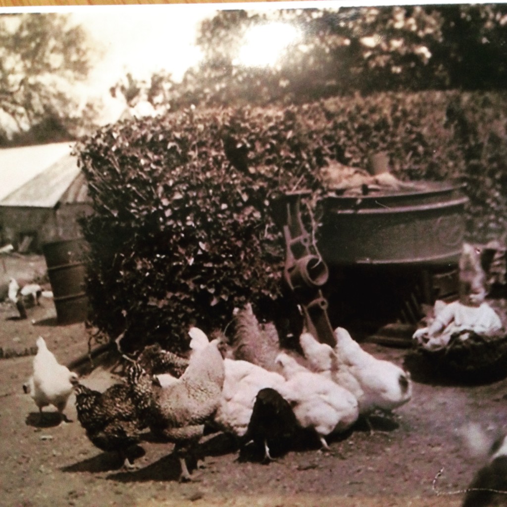 Circa 1935 - one of my aunts in a turnip basket. 