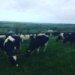 My Farming Week: Things Happening in Threes Again
