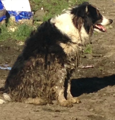 Sam - during a mucky time of year