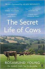 The secret life of cows